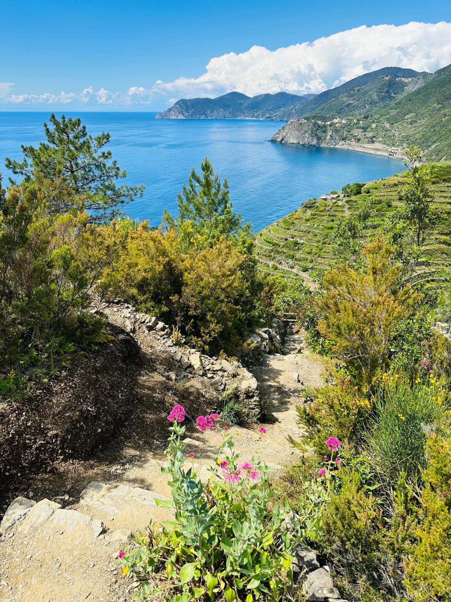 Al Castello 1 Hotell Riomaggiore Eksteriør bilde